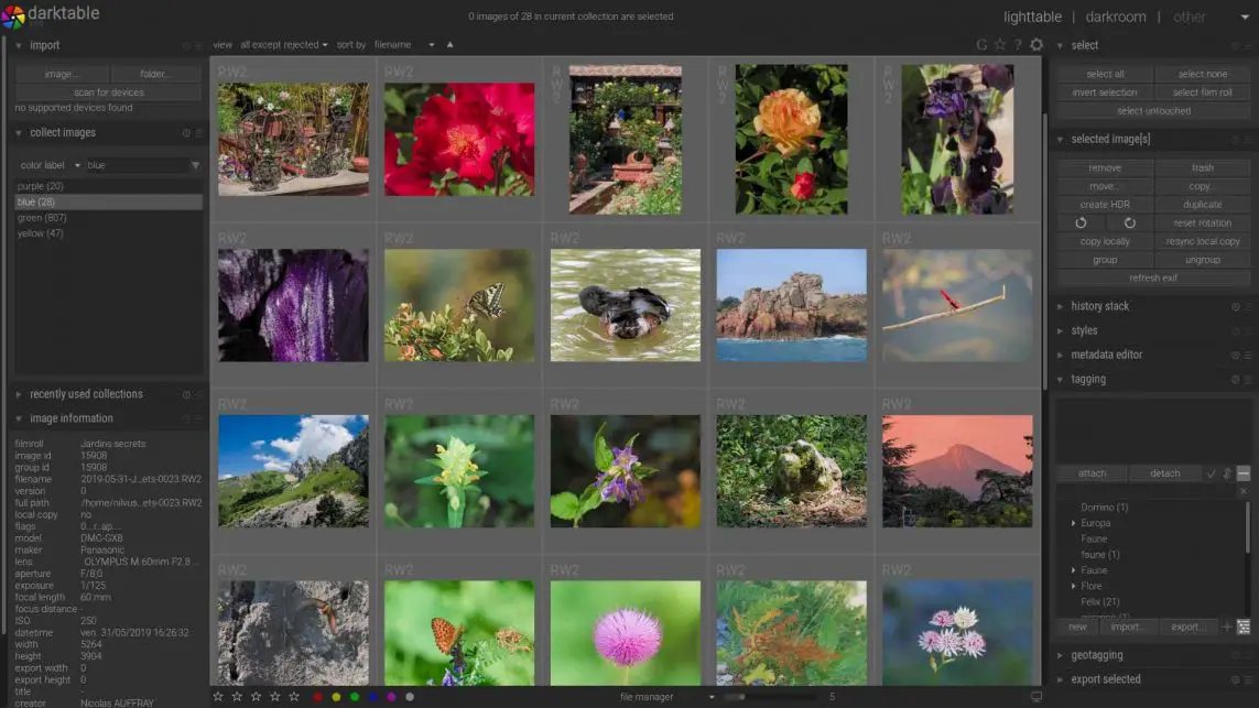 best free photo editor online