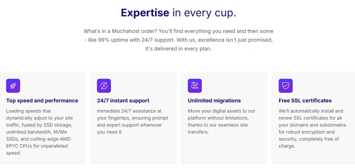 MochaHost key features