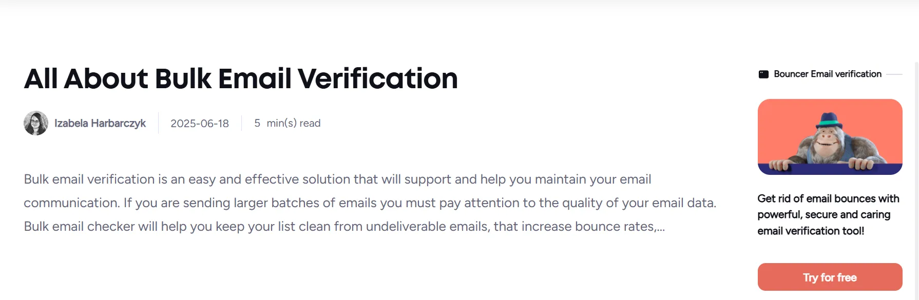 bouncer bulk email verification