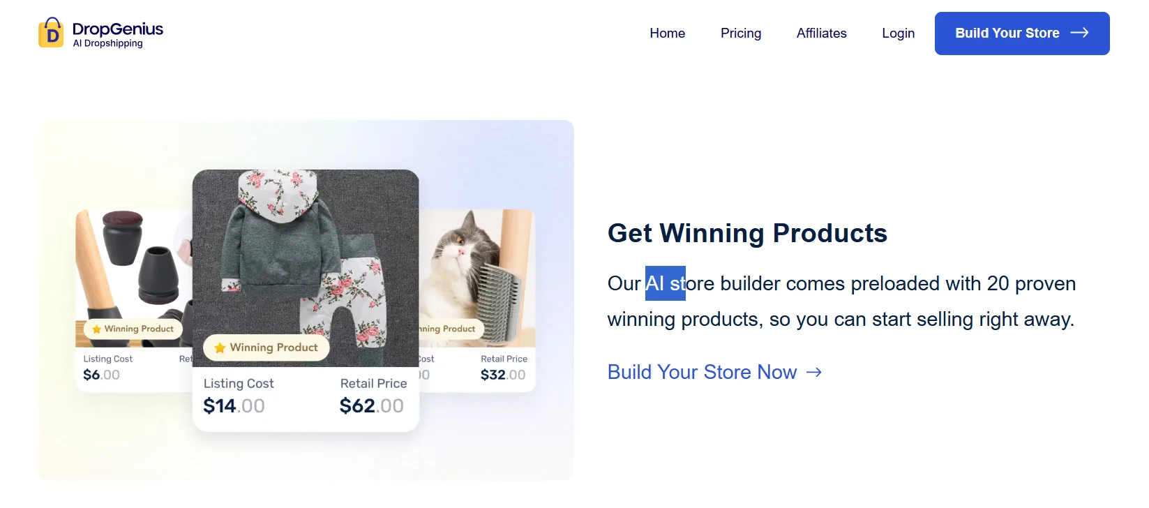 dropgenius AI store builder