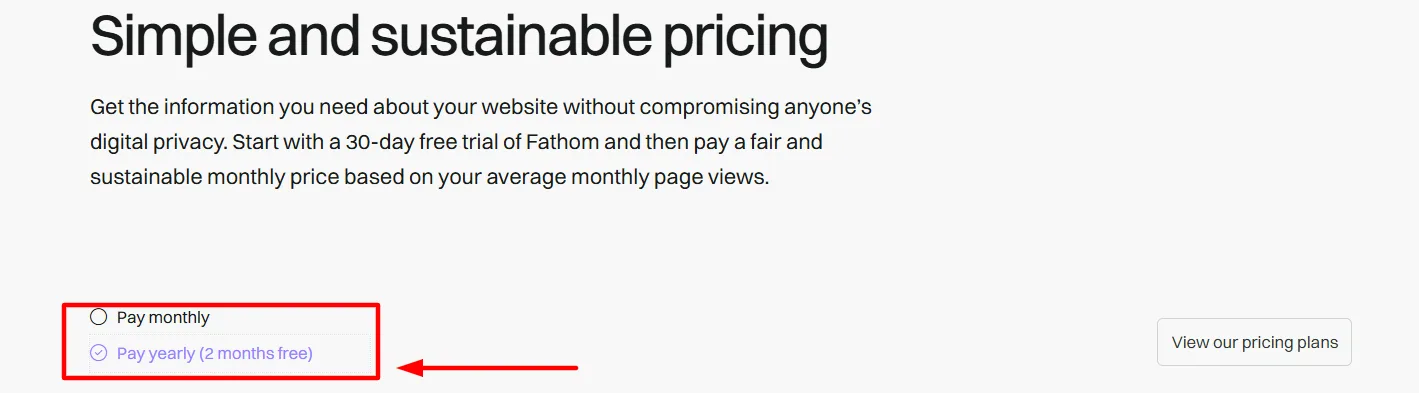 Fathom Analytics step 2